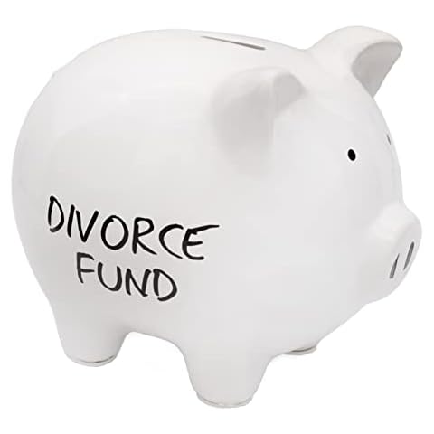 Decorae Divorce Fund Piggy Bank, Gag Gift and Divorce Party Prop Cover