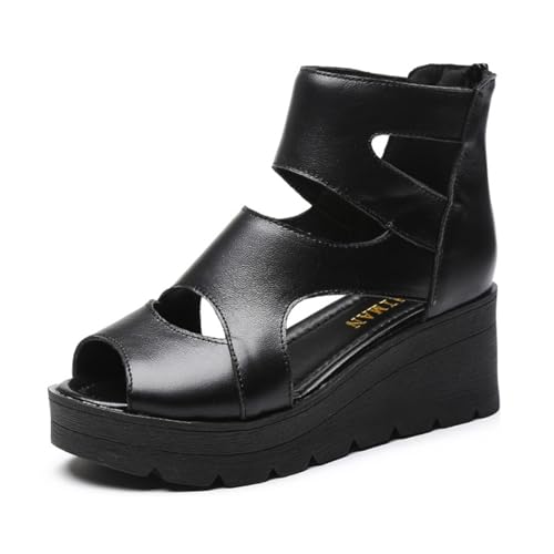 [`GOC] u[cT_ EFbW\[   bV T_ 6cmq[ obNWbp[ OfBG[^[ fB[X T}[u[c nCq[ I[vgD EGbW\[ ₷  ItBX V[g C JWA 22.