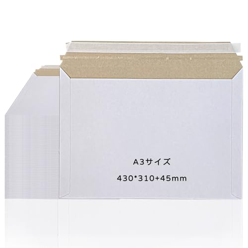 A3TCY  100Zbg [֑Ή rWlX ^[P[X JWbp[t ʃe[vt 300g zCg n 310 c430