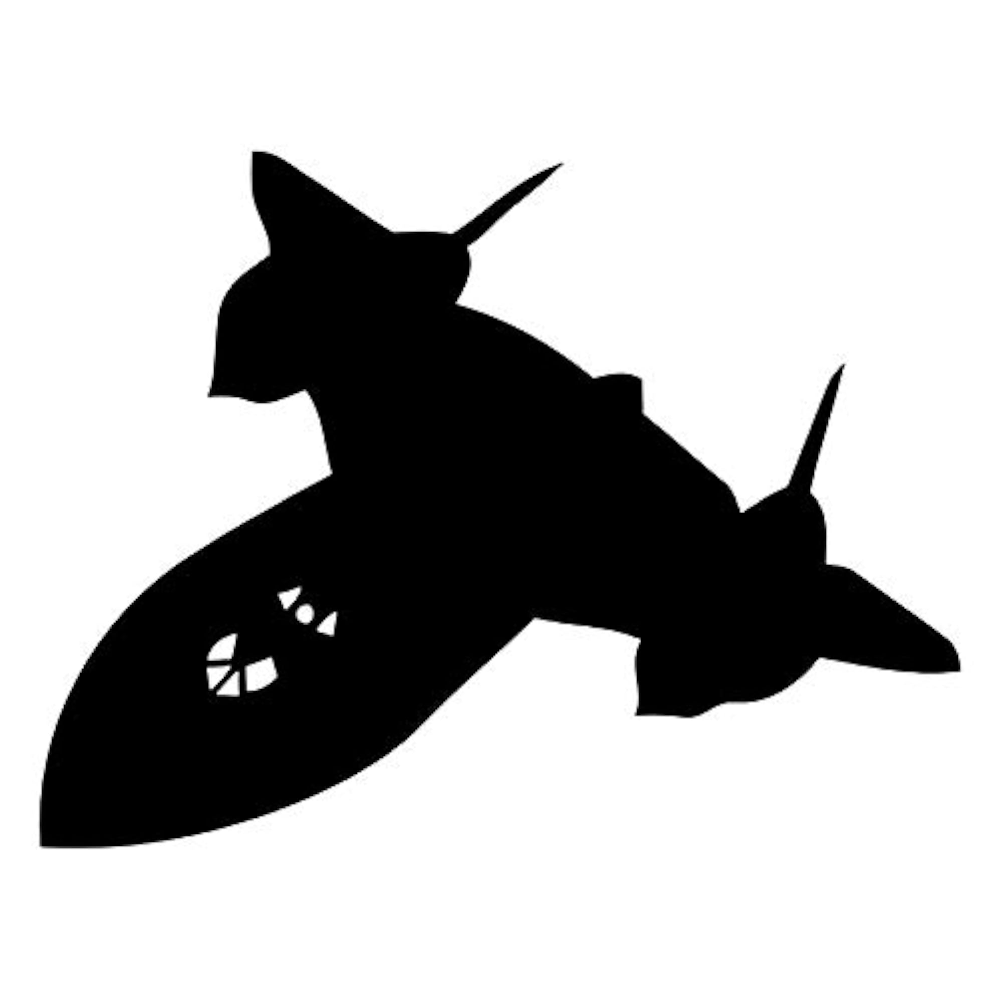 SR-71 Blackbird Fighter Jet Wall Decals 29CM