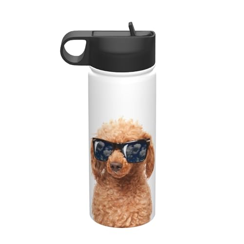 @r TOXgC v[h  530ml ^u[ XeX{g R[q[Jbv EH[^[{g Xg[t e ^fM ۉۗ q ʋ ʊw oR s X|[c 킢  v[g