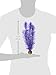 BiOrb 46080.0 Kelp Set Medium Purple Aquariums