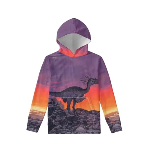 Hoodies for Boys Girls 3d Printed Dinosaur Hooded Sweatshirts Long Sleeve Pullover Hoody with Pocket 6-16Y2