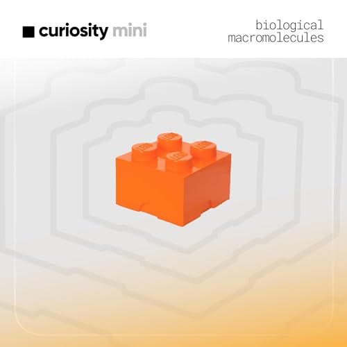 Minisode: Biological Macromolecules