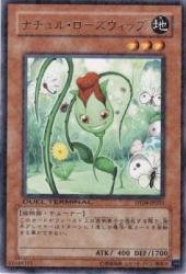 Amazon.co.jp: ナチュル・ローズウィップ(ターミナル) 【R】 DT04