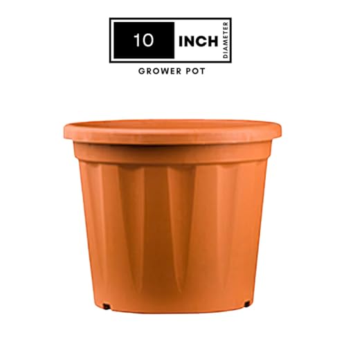 Image of 10 Inch Heavy Duty Plastic Planter | Grower Pot /Garden Pot for Home & Garden (Terracotta) (Pack of 12)