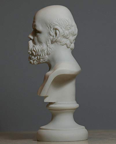 Busto de Sócrates en Alabastro 15 cm miniatura 3