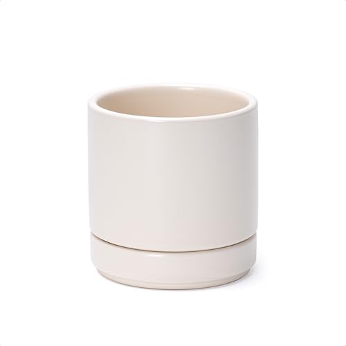 D'vine Dev 4.7 Inch Ceramic Planter Pot, Oatmeal, 94-O-B-8