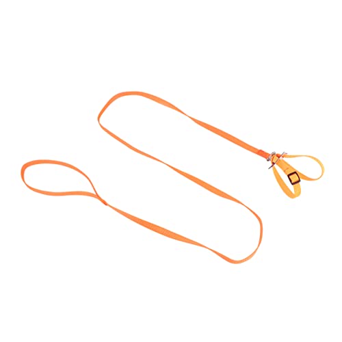 Sosoport Bird Pulling Rope Hamster Turtle Lizard Leash Pet Tow Rope Outdoor Supplies