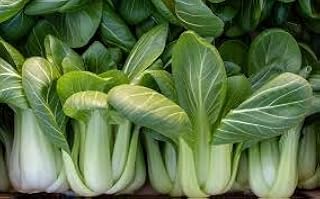 Pak Choi Green 25 Seeds