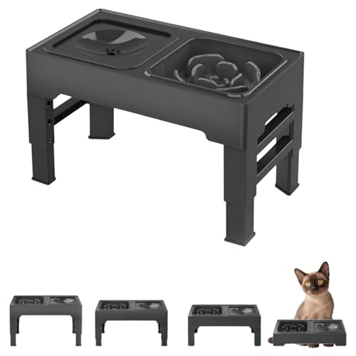 Lifetips o[~[Y Burmese Lp H t[h{EX^h {E  ܂肽 pT|[g Hׂ₷ Hh~ 􂢂₷ ~  i4iK ubNj