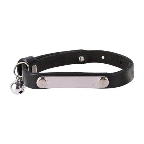 ID^Otl[v[gx\PUU[KȔL̎ւ̂߂inu Poodle Pug Chihuahua,,l