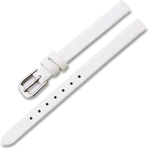 [BIBAPU] v vxgC ̎ւuXbgoh 10 mmfB[XU[X[EHb`Xgbv JWA (zCg) [sAi]