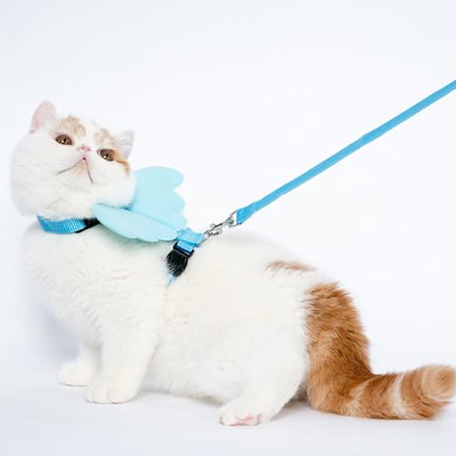 Coleira peitoral para gato com guia asa de anjo confortável cachorro pequeno porte Marca Porta3 (azu