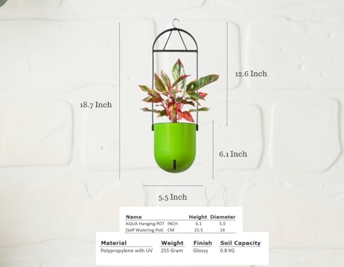 Image of Indian Discovery Self Watering Ceiling Hanging Planter|Hanging /Hooked Flower Pots for Home, Balcony, Garden Decor Flower Pots(6 Pcs, Multicolor,Sphere)|6 Inch UV-Resistant Plastic Plant Pots