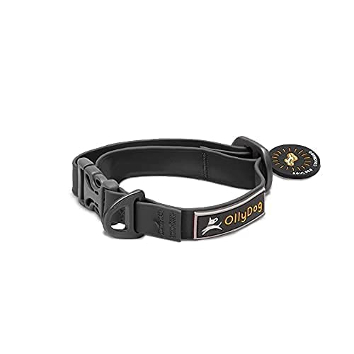 Ollydog Tilden Collar, Waterproof Dog Collar With Quick Release Buckle, Coated Stink-Proof Webbing, Lightweight Collar For Large, Medium And Small Dogs (Small, Black) #TOP7