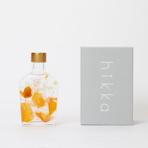 hikka (qbJ) n[oE XLbg^ KXr BOX (W72mm×D40mm×H130mm) (IW) vU[uht[  ͂Ȃ sv { t[ Mtg v[g ̓ iFType02