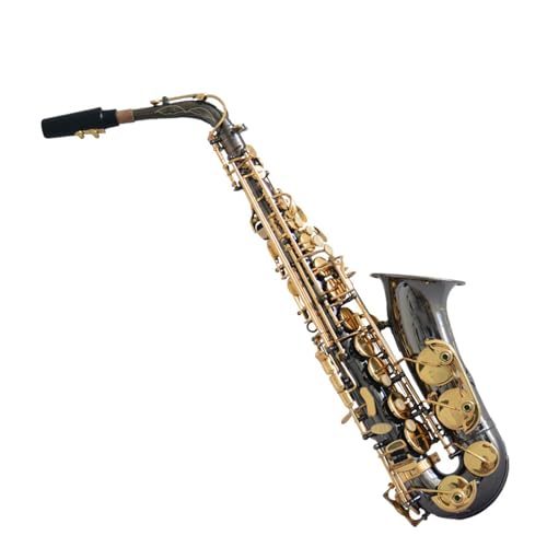 vtFbViTbNX S҂ɓKvdl̊yEtbgAgTbNX