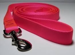 MUNCHOS Nylon 0.5 INCHI Leash for Puppies and Cat Dogs (Colour May Vary)