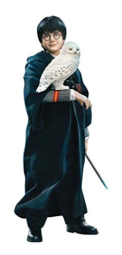 Harry Potter & The Sorcerer's Stone: Harry Potter (Child Halloween Version) 1: 6 Scale Action Figure