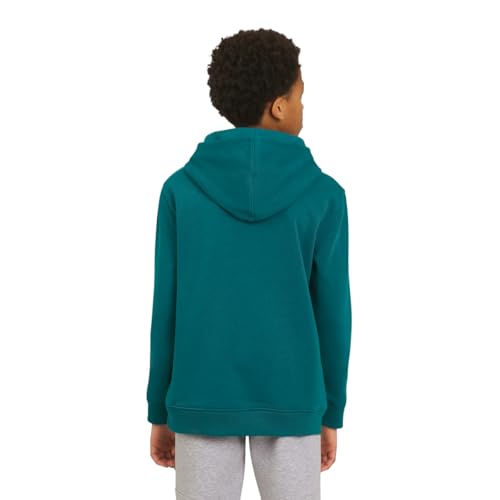 Image of Champion boys Graphic Hoodie Pullover Sweatshirt for Kids With Stylish Embellishments