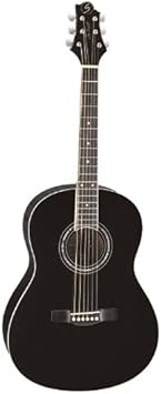 greg bennett chitarra acustica