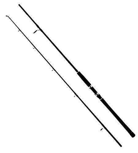 WFT High Carbon NC Jig & Pilk 2,75m 80-190g