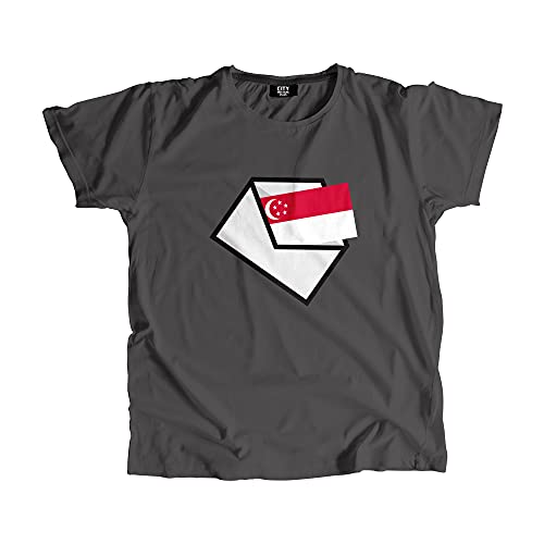 T-shirt Singapore Mail homme et femme vêtement été col rond mode urbaine
