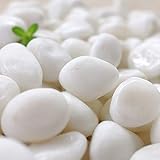 TAIKOH 高級白玉石 白仙華 8分 20-30mm 化粧砂利 ホワイト 白 水磨き 玉石 中 (白仙華8分(20~30mm), 1kg)