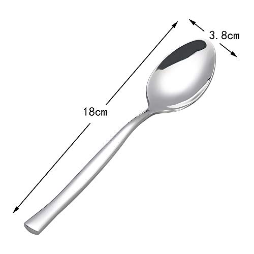 Xowine 12-Piece Dessert Spoon, Stainless Steel Small Spoons, Silver - Image 2