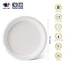 JOLLY CHEF Compostable Heavy Duty Plates 10 Inch [125 Pack] Eco-Friendly Disposable White Paper Plates Made of Bagasse Biodegradable for Party Dinner Sugarcane Fibers Thanksgiving Day 2