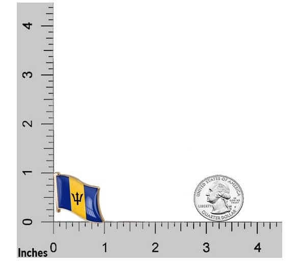 Image of vmcoatdu 1inch Country Flag Pin Badge International Travel Brooch Metal Alloy Souvenir Pin