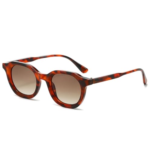 Lunettes de soleil ovales verres dégradés pour éviter l'éblouissement