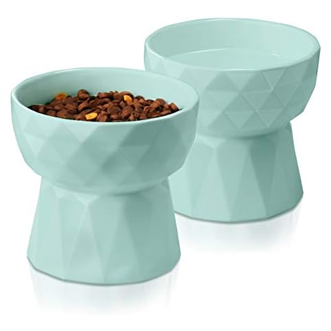 Frewinky Cat Bowls,Ceramic Cat Bowls Anti Vomiting,Raised-Cat Food and Water Bowl Set for Cats and Small Dogs Cover