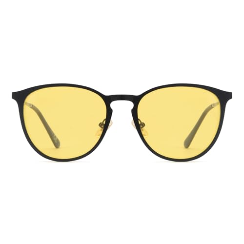 Polarized Photochromic Sunglasses Womens Mens Trendy 2025, Retro Round Transition Sun Glasses UV Protection VF2248