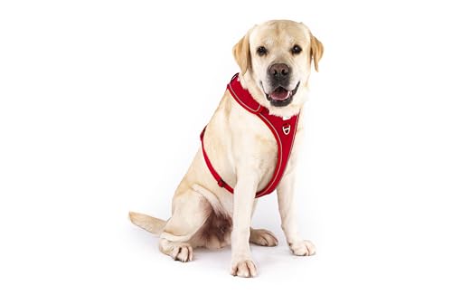 Belka Harness Adjustable Neck Black XL