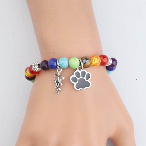 Image of WSNANG Veterinarian Gift Charm Bracelet Veterinary Technician & Student Graduation Gift