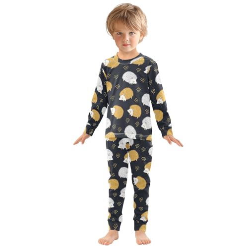 Pajama Sets Long Sleeve Cute Hedgehogs Black Background Soft Comfy Sleepwear 2 Piece PJS 3-8T2