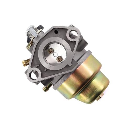 Carburateur moteur G300 stop fuite essence tondeuse 16100-889-065