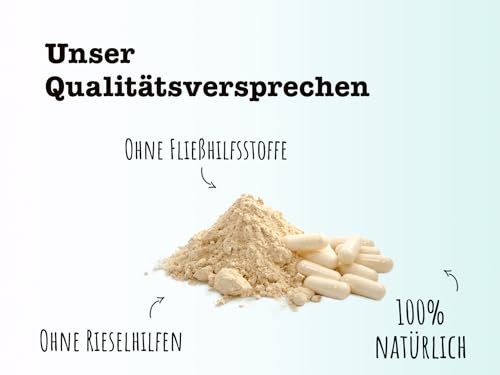 Foto von SPINTZ 320 Stk. Bio Ashwagandha Kapseln Withanolid Gehalt von ≈ 3,5% - hochdosierte Ashwaganda Tabletten - 600mg Ashwagandhapulver je Kapsel - indischer Ginseng, Schafbeere | plastikfrei verpackt