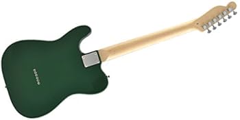 playtech エレキギター TL250 PLAYTECH ( プレイテック ) TL250 Maple Black 送料無料