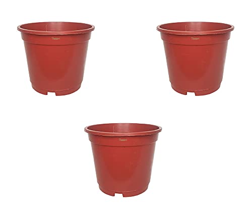 Image of Wonderland 8 inch Set of 3 Big Planter (Plastic Pots for Home Plants) (Terracotta)