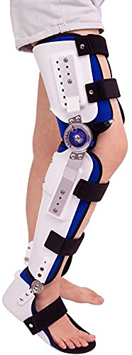 qWtGu[XAGT|[gWCgX^rCU[AqWtGu[X܌ŒK[hXvgbOveN^[ASɒ\Ȃӂ͂񑫌ŒuPbg - jo[TTCY ()