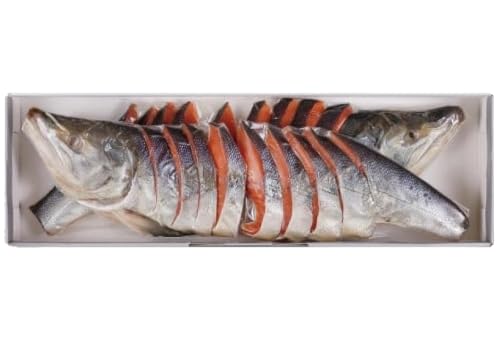 [王子サーモン]塩秋鮭姿切身(1尾) 2kg