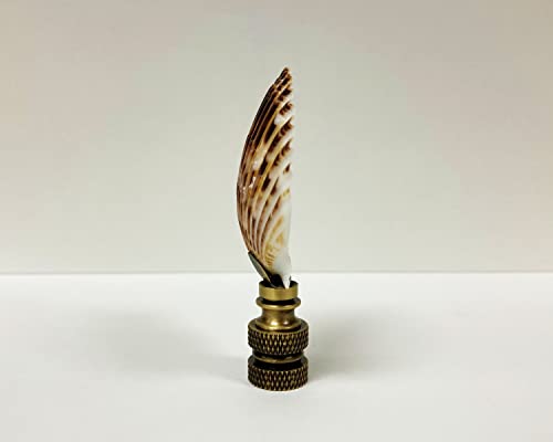 Image of Lamp Finial-SEA Scallop Shell-Natural sea Scallop Shell with Antique Brass or Polished Brass Base (1-pc.) (Polished Brass)