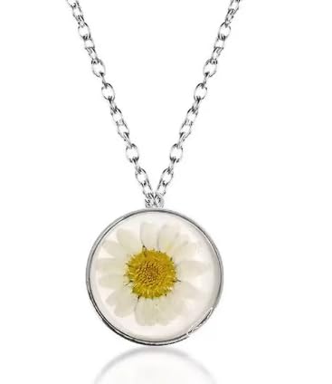 Aconite Real White Flower Dried Pressed Real Daisy Charm Resin Alloy Locket Pendant Necklace Stainless Steel Pendant For Women (B0CH988J38) Amazon Price History, Amazon Price Tracker