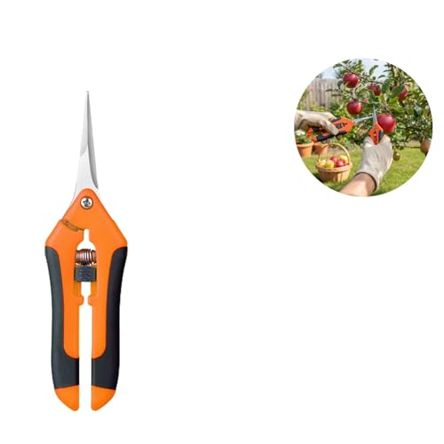 View 5