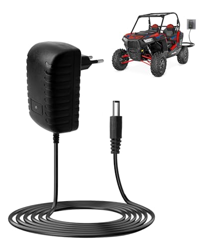 12V Caricabatterie per Auto Elettriche per Bambini, 12V 1A Caricatore per Elettrico Cavalcare Giocattoli Guida Elettrica su Giocattoli Moto SUV ATV Auto