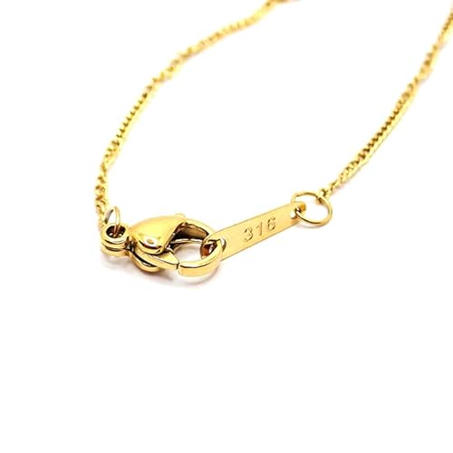 [p[c[h] lbNX `F[ fB[X 316L T[WJXeX [ AM[Ή ] yS[hyׁzz40cm 45cm 50cm 60cm Y fB[X ubN K18bL ×pXeX (yׁz6.fUC1