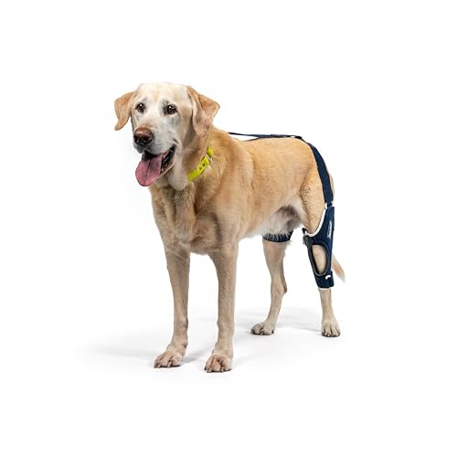 Image of Balto Jump Dog Knee Brace - Orthopedic ACL /CCL Support for Dogs - Adjustable Leg Stabilizer for Joint Pain, Injury Recovery & Arthritis - Vet-Approved Canine Knee Support (X-Large, Right Leg)